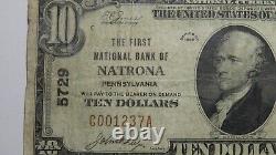 $10 1929 Natrona Pennsylvania PA National Currency Bank Note Bill Ch. #5729 Fine