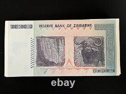 100 TRILLION DOLLARS ZIMBABWE X 10 2008 BANKNOTES Uncirculated Currency 10 Notes